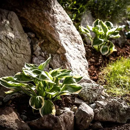 アパート Annabelle *