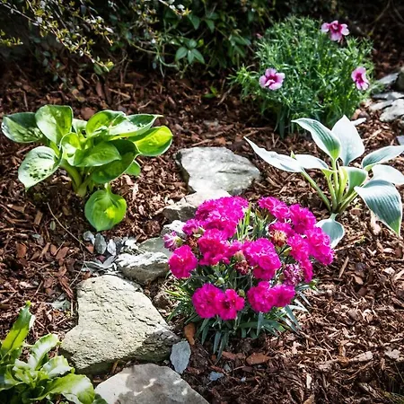 アパート Annabelle フィエッシュ