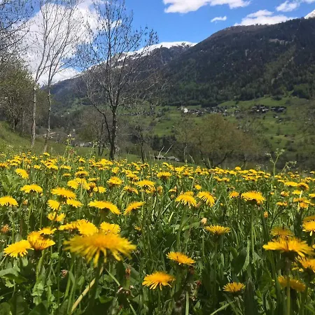Appartement Annabelle Fiesch