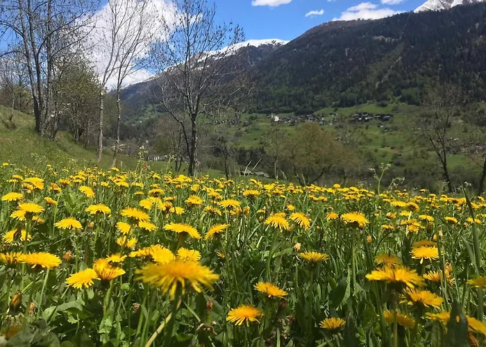 Apartman Annabelle Fiesch