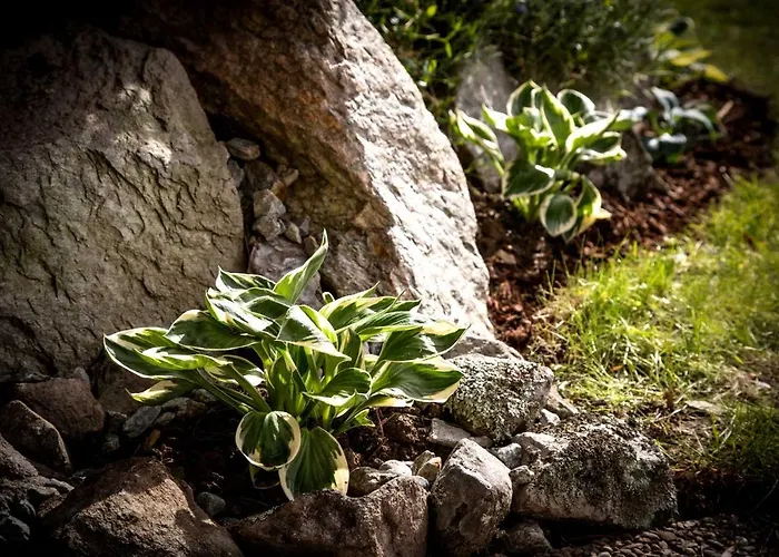 Apartment Annabelle *